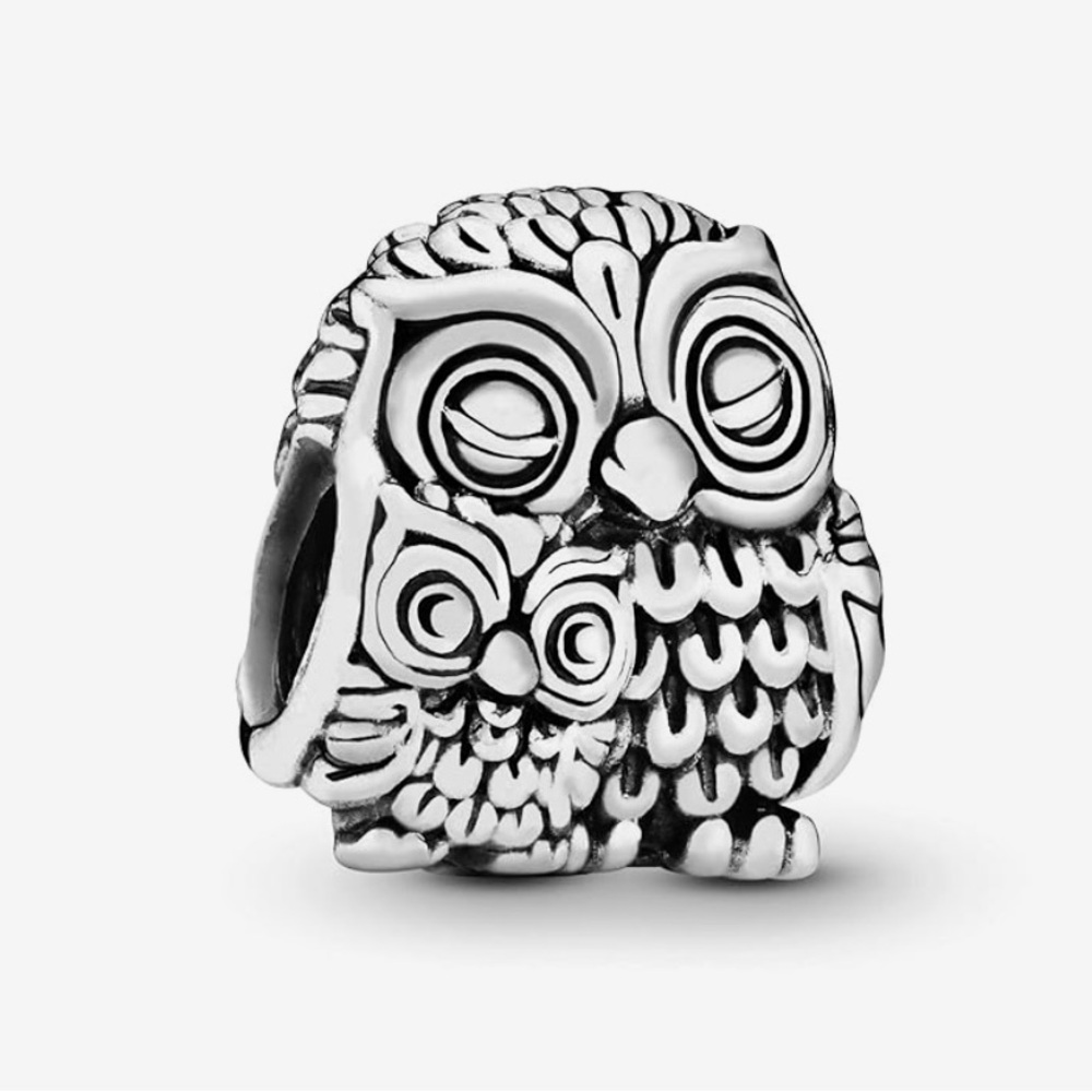Silver pandora Owl Charm